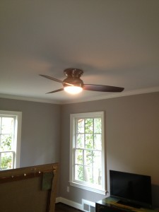 Guest Bedroom Ceiling Fan